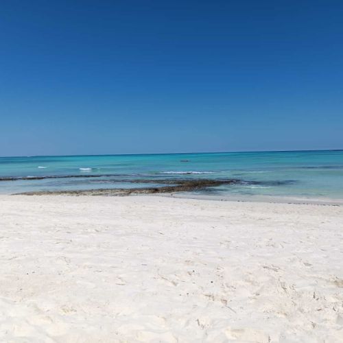 Colonie de vacances à l'étranger