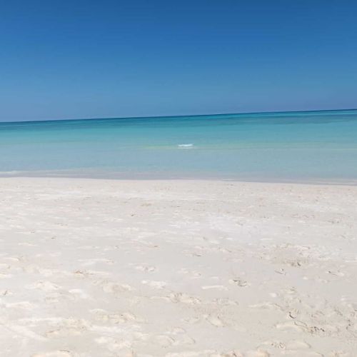 Colonie de vacances à l'étranger